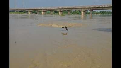 River Rapti inching towards danger mark in Gorakhpur on Monday. (HT photo) River Rapti inching towards danger mark in Gorakhpur on Monday. (HT photo)