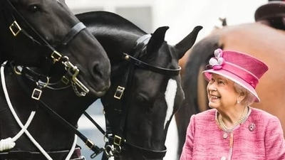 Queen Elizabeth II's Funeral: Queen Elizabeth II's love for horses is widely known. Queen Elizabeth II's Funeral: Queen Elizabeth II's love for horses is widely known.