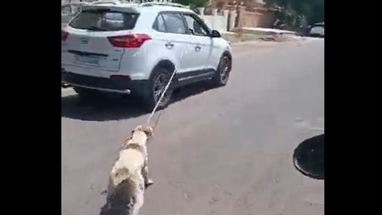 A dog seen tied to a car and being dragged around Jodhpur, Rajasthan.&nbsp;