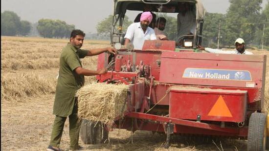 Punjab produces roughly 185 lakh tonnes of paddy straw every year. Of this, nearly half is managed in-situ and ex-situ methods. (HT file photo)