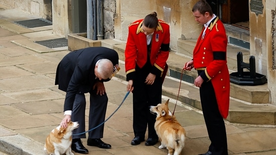 Britain's Prince Andrew pets the royal corgis Muick and Sandy on the day of the state funeral and burial of Britain's Queen Elizabeth, at Windsor Castle in Windsor, Britain. (REUTERS/Peter Nicholls/Pool)