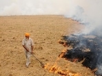It is in everyone’s interest to stave off stubble burning and cash compensation appears to be the best way for us to do so. (HT Photo) It is in everyone’s interest to stave off stubble burning and cash compensation appears to be the best way for us to do so. (HT Photo)