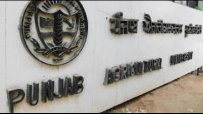 Punjab Agricultural University (PAU) will honour five farmers on the first day of Kisan Mela on September 23 for excellence in agriculture and allied enterprises. (HT File Photo)