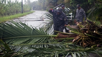 One man died while cutting down a tree in his home as a precautionary measure, authorities said, without giving further details. (AFP) One man died while cutting down a tree in his home as a precautionary measure, authorities said, without giving further details. (AFP)