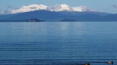 New Zealand Taupo Volcano: The volcanic peaks of Mounts Tongariro, Ngarruhoe and Ruapehu rise over the shores of Lake Taupo. (Reuters File)