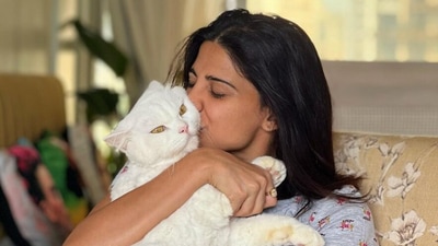 Aahana Kumra chilling at her home with her cat. Aahana Kumra chilling at her home with her cat.