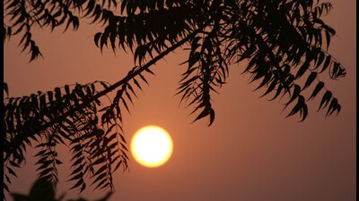 Over the next three days, minimum temperature in Chandigarh will remain between 25°C and 26°C. (Sanjeev Sharma/HT)