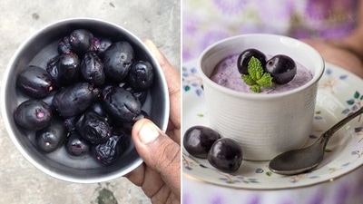 Healthy and lip-smacking jamun desserts for people with diabetes (Pinterest) Healthy and lip-smacking jamun desserts for people with diabetes (Pinterest)
