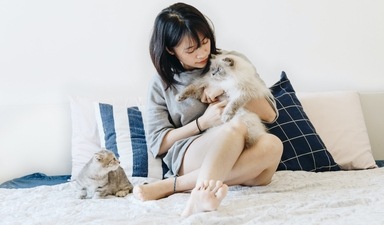 Tips to keep in mind when bringing a new pet home (Unsplash) Tips to keep in mind when bringing a new pet home (Unsplash)