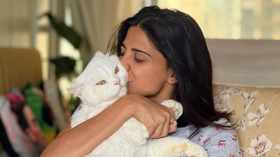 Aahana Kumra chilling at her home with her cat.