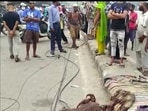 The incident took place in Delhi’s Seemapuri area at around 1:50am, when the truck driver was crossing the DTC Depot Red Light.(ANI) The incident took place in Delhi’s Seemapuri area at around 1:50am, when the truck driver was crossing the DTC Depot Red Light.(ANI)
