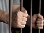 Russia releases 10 foreigners captured in Ukraine after Saudi mediation (REPRESENTATIVE IMAGE ) Russia releases 10 foreigners captured in Ukraine after Saudi mediation (REPRESENTATIVE IMAGE )