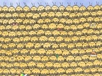 Queen bee is hidden in this brain teaser. Can you find her?(Gergely Dudás) Queen bee is hidden in this brain teaser. Can you find her?(Gergely Dudás)