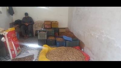 A walnut trader with its produce in Kashmir. (HT Photo) A walnut trader with its produce in Kashmir. (HT Photo)