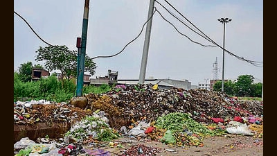 The management of Ludhiana’s main vegetable market was recently fined  ₹37 lakh for ineffective waste management. (HT File)