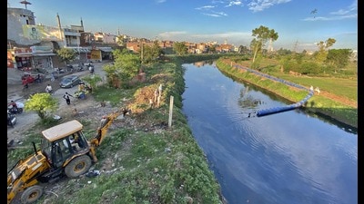 Penalty will now be imposed on dairy owners in Ludhiana who have failed to make arrangements for waste disposal on the premises. (HT File)