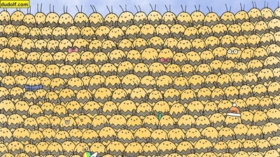 Queen bee is hidden in this brain teaser. Can you find her? (Gergely Dudás) Queen bee is hidden in this brain teaser. Can you find her? (Gergely Dudás)