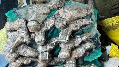 Fifteen high-quality semi-automatic pistols of 0.32 bore and 45 live cartridges were recovered. (Representational Image) (ANI) Fifteen high-quality semi-automatic pistols of 0.32 bore and 45 live cartridges were recovered. (Representational Image) (ANI)