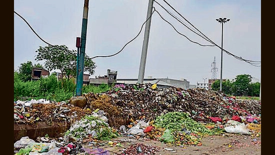 The management of Ludhiana’s main vegetable market was recently fined <span class='webrupee'>?</span>37 lakh for ineffective waste management. (HT File)