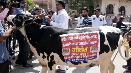 BJP MLA from Pushkar assembly constituency Suresh Singh Rawat reached there with a cow and started moving towards the assembly premises. BJP MLA from Pushkar assembly constituency Suresh Singh Rawat reached there with a cow and started moving towards the assembly premises.
