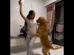 The Golden Retriever dog does Garba dance with its human. (Instagram/@thekattappa) The Golden Retriever dog does Garba dance with its human. (Instagram/@thekattappa)