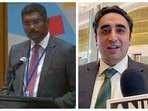 Pakistan has decimated its minorities, India's joint secretary said at the United Nations. Pakistan has decimated its minorities, India's joint secretary said at the United Nations.
