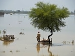 Pakistan floods that devastated large parts of the country in August, leaving hundreds of thousands of people homeless and killing around 1,500 people was made highly likely due to climate crisis, WWA concluded in a statement on September 15.&nbsp;(AP)