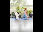 The image, taken from viral video, shows the Australian Shepherd dog doing yoga session with her pet mom.&nbsp;