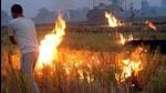 The monitoring of the farm fires by the Haryana Space Application Centre (HARSAC) will start from September 30. Officials in the state agriculture department said that there were no incidents of farm fires in the past couple of days due to rain. (HT file photo) The monitoring of the farm fires by the Haryana Space Application Centre (HARSAC) will start from September 30. Officials in the state agriculture department said that there were no incidents of farm fires in the past couple of days due to rain. (HT file photo)
