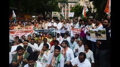 Members of NCP protest against the PMC administration for approving secondary projects like garbage project and dog hospital in Hadapsar in the name of developement on Thursday. (Shankar Narayan/HT PHOTO)