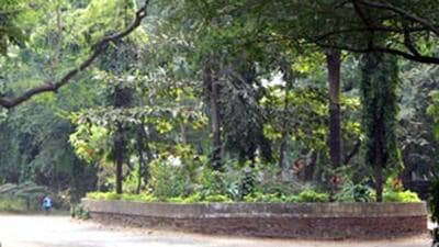The avoided mortality and morbidity costs due to respiratory and respiratory-induced cardiac ailments due to the park were estimated at ₹514 crore per annum. (HT File Photo) The avoided mortality and morbidity costs due to respiratory and respiratory-induced cardiac ailments due to the park were estimated at ₹514 crore per annum. (HT File Photo)