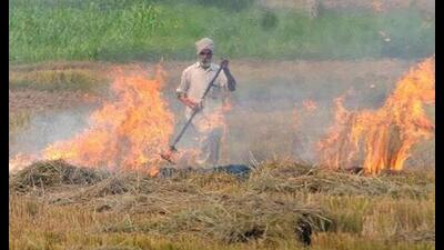 Punjab chief secretary Vijay Kumar Janjua has directed all the deputy commissioners to make arrangements in their respective districts to prevent stubble burning by all means.