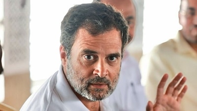 Congress leader Rahul Gandhi. (ANI file) Congress leader Rahul Gandhi. (ANI file)
