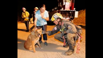 The visually impaired dog got rescued by firefighters after falling into a construction site.&nbsp; (Facebook/@PasadenaFD)