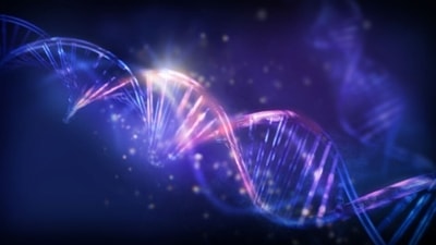 Genes: Sometimes early graying of hair is inherited from our parents or ancestors. (Unsplash) Genes: Sometimes early graying of hair is inherited from our parents or ancestors. (Unsplash)