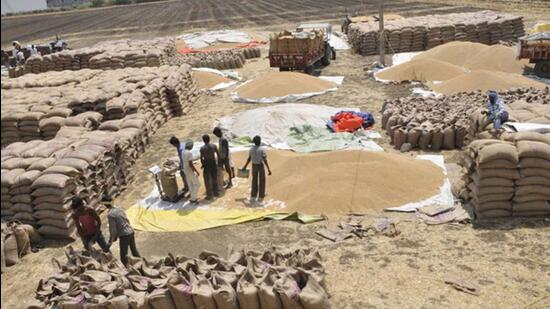 A prolonged heatwave in March trimmed India’s wheat output, which is now estimated to be 106.8 million tonnes, a three-year low. (Representational photo)