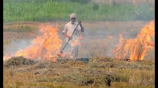 Punjab chief secretary Vijay Kumar Janjua has directed all the deputy commissioners to make arrangements in their respective districts to prevent stubble burning by all means. Punjab chief secretary Vijay Kumar Janjua has directed all the deputy commissioners to make arrangements in their respective districts to prevent stubble burning by all means.