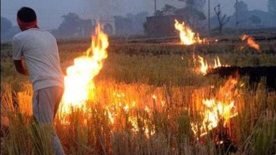 The monitoring of the farm fires by the Haryana Space Application Centre (HARSAC) will start from September 30. Officials in the state agriculture department said that there were no incidents of farm fires in the past couple of days due to rain. (HT file photo)