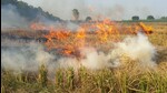 Haryana takes new approach to check stubble burning Haryana takes new approach to check stubble burning