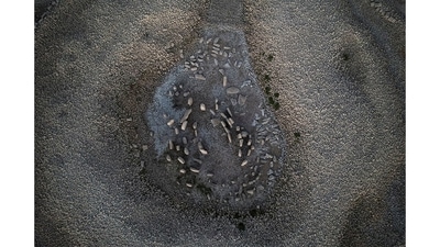 The 6-foot-high stones are arranged in concentric circles. The site was discovered in 1926 but has been submerged since the 1960s, after the area was flooded in a development project. Since the water is erasing some of the carvings on the stones, there is talk of moving the arrangement out of the reservoir. (Susana Vera/REUTERS) The 6-foot-high stones are arranged in concentric circles. The site was discovered in 1926 but has been submerged since the 1960s, after the area was flooded in a development project. Since the water is erasing some of the carvings on the stones, there is talk of moving the arrangement out of the reservoir. (Susana Vera/REUTERS)