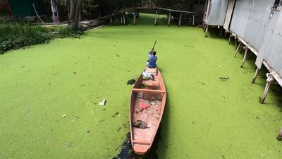 A man rows a boat in the interiors of Dal Lake in Srinagar in Jammu and Kashmir. (HT FIle Photo/Waseem Andrabi) A man rows a boat in the interiors of Dal Lake in Srinagar in Jammu and Kashmir. (HT FIle Photo/Waseem Andrabi)