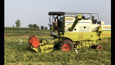 Purchase of kharif crops to begin from Oct 1 in Haryana