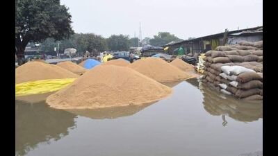 Farmers fear crop loss due to waterlogging in Haryana mandis Farmers fear crop loss due to waterlogging in Haryana mandis