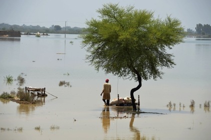 Pakistan Floods; A villager uses cots to save usable items after salvaging from his flood-hit home, in Jaffarabad in Pakistan. (AP)