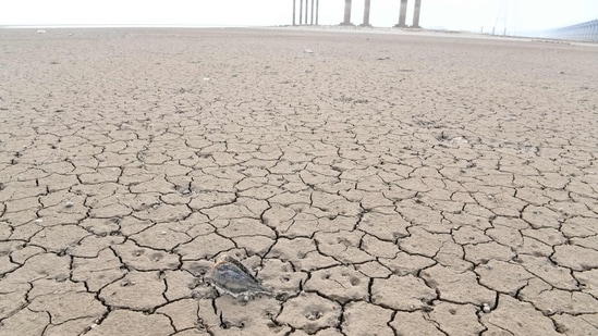 China Drought: A dry area of China's largest freshwater Poyang Lake in Jiujiang.(AFP)