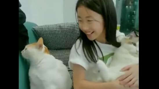 The image, taken from the Twitter video, shows the girl petting a cat with another kitty sitting beside her.(Screengrab)