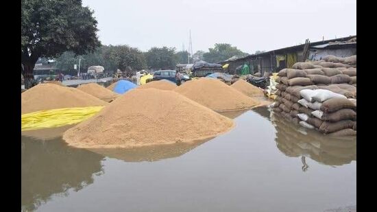 Farmers fear crop loss due to waterlogging in Haryana mandis