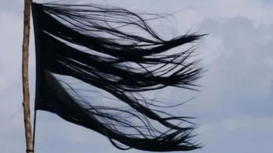 The chopped hair hoisted as flag. (Twitter/Leena Manimekalai)