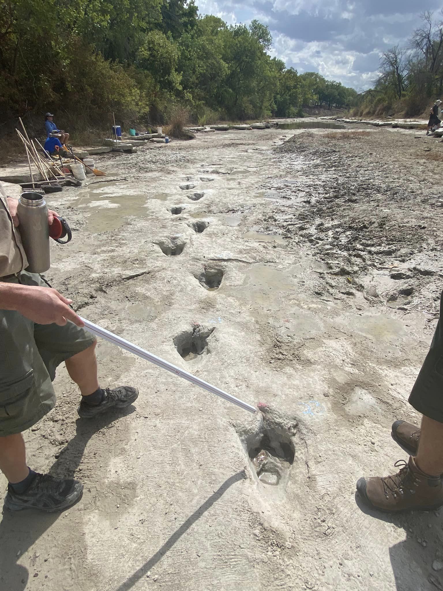 The tracks were likely left by a single acrocanthosaurus. The two-legged, three-toed apex predator was probably 15 ft tall, weighing seven tonnes. (Paul Baker) The tracks were likely left by a single acrocanthosaurus. The two-legged, three-toed apex predator was probably 15 ft tall, weighing seven tonnes. (Paul Baker)