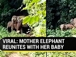 VIRAL: MOTHER ELEPHANT REUNITES WITH HER BABY VIRAL: MOTHER ELEPHANT REUNITES WITH HER BABY